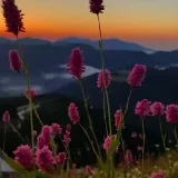 صورة قناة ابــ,ٰـدا؏ــ,ٰـاتــ,ٰــ,ٰٓ الجــ,ٰـوزاء