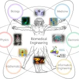 صورة قناة Biomedical Engineering Management