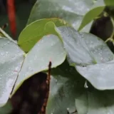 صورة قناة الخيال الواسع 🍃