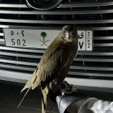 صورة قناة ادعية