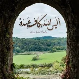 صورة قناة نُور الهِداية