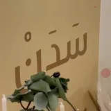 صورة قناة شجن