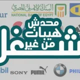 صورة قناة بتاع شغل