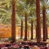 صورة قناة إسلام عفيفي