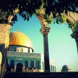 صورة قناة مؤمن مقداد