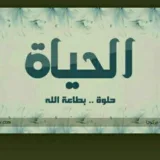 صورة قناة شاهد الشهد