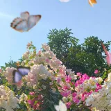 صورة قناة سيرًا إلى الله لاخوفٌ ولا وَجَلُ.. 🌾
