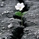 صورة قناة أَرْوَاحٌ مِنْ عَالَمِ الفَلْسَفَةِ