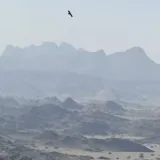 صورة قناة ردود علمية على المخالفين في التكفير