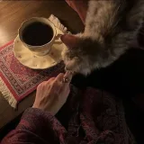 صورة قناة كلام من ذهب | اقتباسات 💎