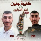 صورة قناة كتيبة جنين عش الدبابير