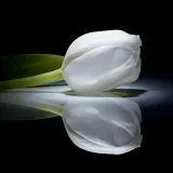 صورة قناة الرقيه الشرعيه