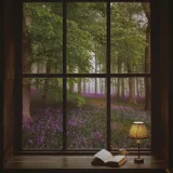صورة قناة قناة | فُـرات السُّلمي