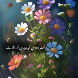 صورة قناة 🌩همسات لطیفه ❤️