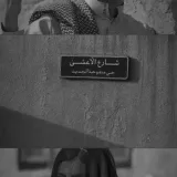 صورة قناة -شيلات وقصيد بنهكة بداوه🖤🥀.