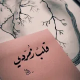 صورة قناة قَلْبٌ زمُرُّديّ•