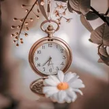 صورة قناة روزي٩٨.
