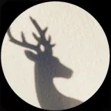 صورة قناة ᴹʸ ᴹᴼᴼᴺ