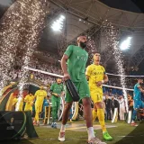 صورة قناة نادي النصر | Alnassr Club