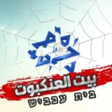 صورة قناة بيت العنكبوت - Cobwebs
