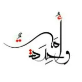 صورة قناة أمة واحدة
