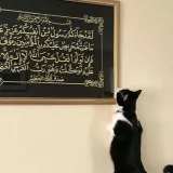 صورة قناة كتب الخلف