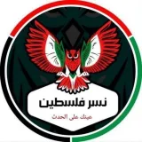 صورة قناة نسر فلسطين