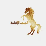صورة قناة الميمون الإخبارية