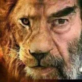 صورة قناة زينو ياسر محاميد