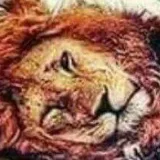 صورة قناة زينو محاميد