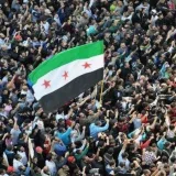 صورة قناة قناة / علي أبو الحسن