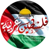 صورة قناة فلسطين عربية 🇵🇸 🇵🇸𓂆𓂆𓂆