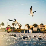 صورة قناة لو كنتُ طيرًا..🕊