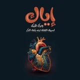 صورة قناة أبي بكر بن عمر الكردي