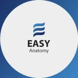 صورة قناة EASY ANATOMY//Dr.Hussein Yousif