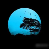 صورة قناة شمس العلوم | Sun of Science