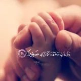 صورة قناة عائشة الظاهري