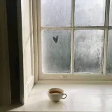صورة قناة نّبْتَة 🌱