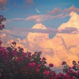 صورة قناة تــائـهــة💚"