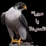 صورة قناة 🔮مــعــاً الـــى الـــجــنـــة7r🔮