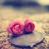 صورة قناة في طَاعَةِ اللهِ اجْتَمَعْنَا🌿