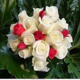 صورة قناة مُنْ ڪلُ بُسّتّأِنْ زّهّرًة 🌷