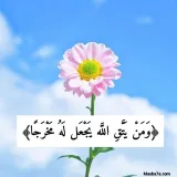 صورة قناة ⤶طاعة الله تجمعنا 💖🥰↻"