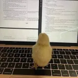 صورة قناة تخديريون 🤍