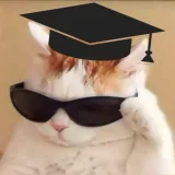 صورة قناة ✨طريقك نحو الرسوب✨