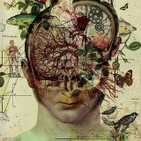 صورة قناة HSF
