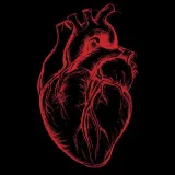 صورة قناة Anatomy world 🫀